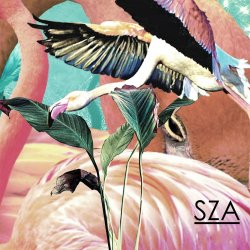 Мұқаба SZA - Castles