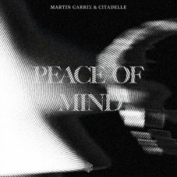 Мұқаба Martin Garrix & Citadelle - Peace Of Mind