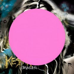 Мұқаба Kesha - we r who we r (Gravagerz REMIX)