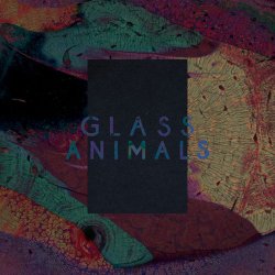 Мұқаба Glass Animals - Exxus