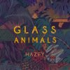 Мұқаба Glass Animals - Hazey Glass Animals - Hazey