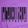 Pochette alyona alyona, KALUSH, OTOY, Білий Бо, Шершень - Стержень alyona alyona, KALUSH, OTOY, Білий Бо, Шершень - Стержень
