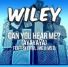 Wiley - Can You Hear Me (Ayayaya) [Adam F Remix]