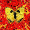 Мұқаба Ed Sheeran - Shivers Ed Sheeran - Shivers