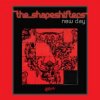 Мұқаба The Shapeshifters - New day The Shapeshifters - New day