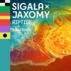 Мұқаба Sigala & Jaxomy - Riptide (feat. Ilan Kidron) Sigala & Jaxomy - Riptide (feat. Ilan Kidron)