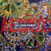 Мұқаба Balsam Range - The Girl Who Invented The Wheel Balsam Range - The Girl Who Invented The Wheel