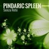 Мұқаба Pindaric Spleen - Moonlite Longing Pindaric Spleen - Moonlite Longing