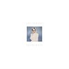 Мұқаба Sally Dige - Holding On Sally Dige - Holding On