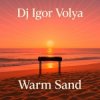 Мұқаба DJ Igor Volya - Warm Sand DJ Igor Volya - Warm Sand