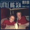 Pochette Little Big Sea - My Famous Laughter Little Big Sea - My Famous Laughter