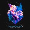 封面 Evaride & Sam Tinnesz - Underdogs Evaride & Sam Tinnesz - Underdogs