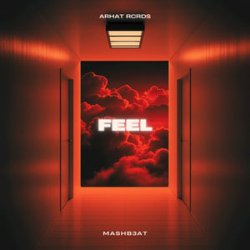 Мұқаба MASHB3AT - Feel