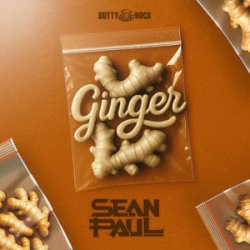 Мұқаба Sean Paul - Ginger