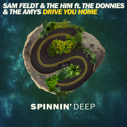 Мұқаба Sam Feldt & The Him ft. The Donnies The Amys - Drive You Home (Original Mix)