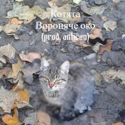 Мұқаба Вороняче око - котята (prod. anticøn)