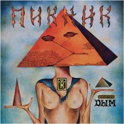 Мұқаба Пикник - Ночь