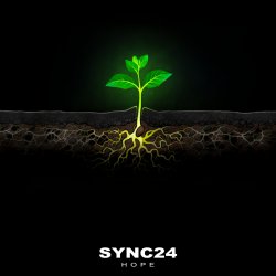 Мұқаба SYNC24 - The Frog and the Bubble