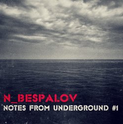 Мұқаба N_Bespalov - Quarter