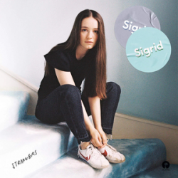 Мұқаба Sigrid - Strangers