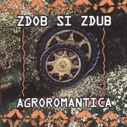 Мұқаба Zdob și Zdub - Doina haiducului