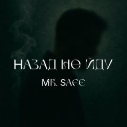 Мұқаба Mr. Safe - Назад не йду