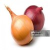Мұқаба internetcafe247 - funny onion song internetcafe247 - funny onion song
