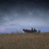 Мұқаба Trepha - Антидепресант Trepha - Антидепресант