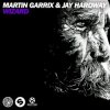 Мұқаба Martin Garrix & Jay Hardway - Wizard (Original Mix) Martin Garrix & Jay Hardway - Wizard (Original Mix)