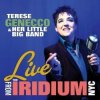 Мұқаба Terese Genecco & Her Little Big Band - I've Got You Under My Skin Terese Genecco & Her Little Big Band - I've Got You Under My Skin