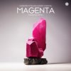 Мұқаба Giuseppe Ottaviani & Ferry Corsten - Magenta (Fisherman Extended Remix) Giuseppe Ottaviani & Ferry Corsten - Magenta (Fisherman Extended Remix)