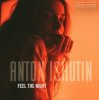 Мұқаба Anton Ishutin - Into The Night Anton Ishutin - Into The Night