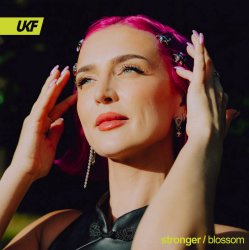 Мұқаба Blossom - Stronger
