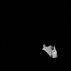 Мұқаба Bob Moses - Like It Or Not