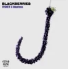 Мұқаба FISHER & bbyclose - Blackberries (Extended Mix) FISHER & bbyclose - Blackberries (Extended Mix)