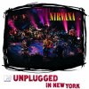 Мұқаба Nirvana - Something In The Way Nirvana - Something In The Way