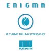 Мұқаба ENIGMA - Je T'aime Till My Dying Day (NJ Remix) ENIGMA - Je T'aime Till My Dying Day (NJ Remix)