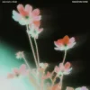 Мұқаба Oskar med k & Khalid - nobody (make me feel) Oskar med k & Khalid - nobody (make me feel)