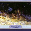 封面 Manna - Transport Of Delight Manna - Transport Of Delight