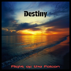 Мұқаба Destiny (Radio edit)