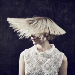 Мұқаба Aurora - Under Stars