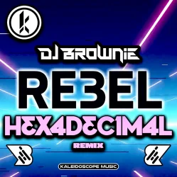 Мұқаба DJ Brownie & Hexadecimal - Bass Dropper!
