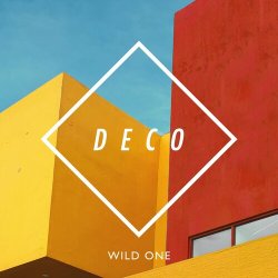 Мұқаба Deco - Wild One