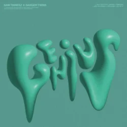 Мұқаба Sam Tinnesz & Danger Twins - Are You Ready