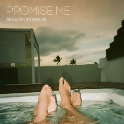Мұқаба Andrew Rayel & Darla Jade - Promise Me