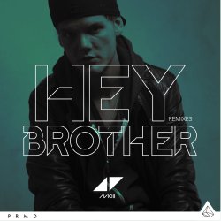 Мұқаба Avicii - Hey Brother (Extended Version)