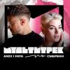 Мұқаба Andi & Faya feat. Мультитрек - Смерека Andi & Faya feat. Мультитрек - Смерека