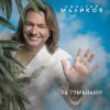 Мұқаба Дмитрий Маликов - Когда-нибудь Дмитрий Маликов - Когда-нибудь