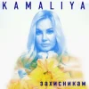 Мұқаба Kamaliya - Захисникам Kamaliya - Захисникам