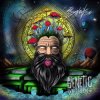 Мұқаба Psydewise - Genetic Reflection Psydewise - Genetic Reflection